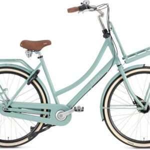 Popal | Dames Transportfiets Daily Dutch Prestige 28 Inch 53 cm 7V Rollerbrake Mintgroen